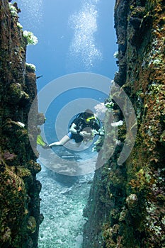 Scuba diver in a rocky canyon reef.