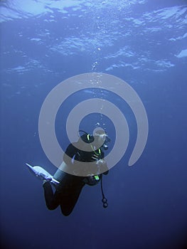 Scuba Diver safety stop photo