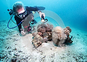 Scuba diver on sea floor