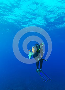 Scuba diver with speargun and dead fishes