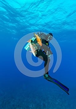 Scuba diver with speargun and dead fishes