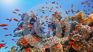 Scuba diver surrounded with shoal of beautiful red coral fish Anthias near tropical coral reef