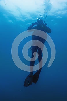 Scuba Diver Swimming Blue Water Copy Space