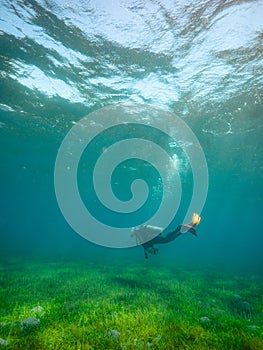 A scuba diver swimming underwater in the blue ocean near the sea grass.