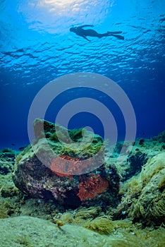 A scuba diver swims over a Mediterranean seabed