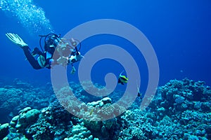 Scuba diver takes Underwater photo