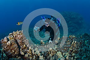 Scuba Diver taking a shot of the Reef