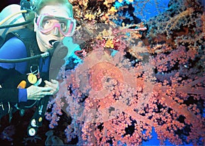 A Scuba Diver in Truk Lagoon Enjoys Soft Coral Variations