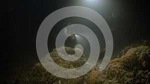 Scuba diver under the dark water with fishes