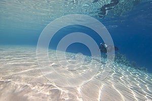 Scuba diver underwater