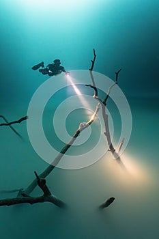 Scuba diver wearing a full-face mask and fins is exploring a driftwood structure underwater