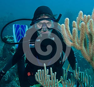 Scuba diver woman underwater photo