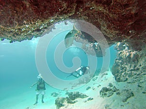 SCUBA divers in the Bay Islands of Belize