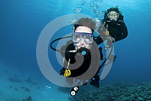 Scuba divers and coral