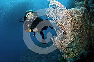 Scuba divers and coral