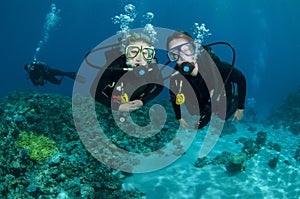 Scuba divers enjoy dive