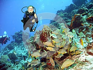 Scuba Divers Explore the Coral Reefs of Cozumel, Mexico photo