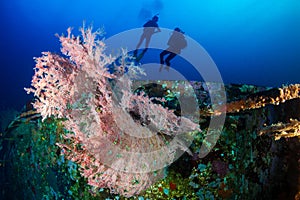 SCUBA Divers exploring a deep, underwater shipwreck