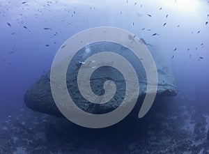 Scuba divers exploring a shipwreck