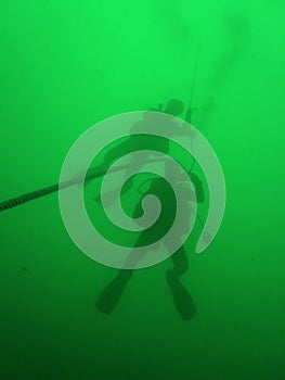 scuba divers green water diving