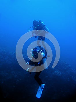 scuba divers reef wall sabang philippines