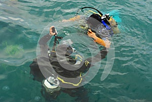 Scuba divers scuba dive in sea