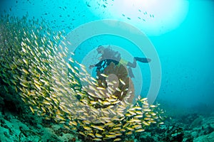 Scuba divers in sea in Thailand
