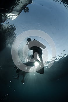 Scuba divers in silhouette