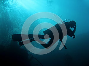 Scuba Divers silhouette sipadan borneo