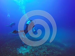 Scuba Divers swimming over the live coral reef full of fish