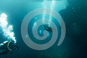 Scuba divers swimming under water