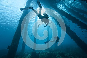 Scuba Divers under pier, Bonaire