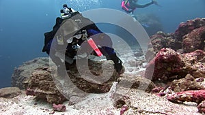 Scuba divers underwater on background of seabed.