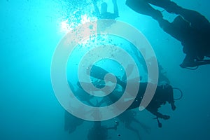 Scuba Divers underwater at Khao Lak, Thailand