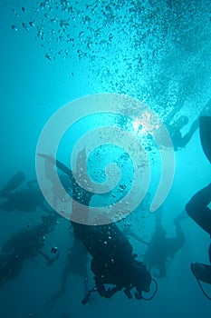 Scuba Divers underwater at Khao Lak, Thailand photo