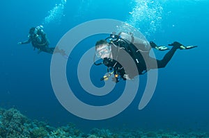 Scuba diving buddies enjoy a dive