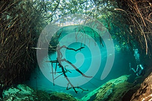 Scuba diving in the Casa Cenote in Mexico