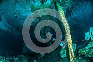 Scuba diving in the Cenote Dos Ojos, Mexico photo