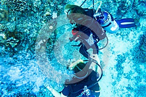 Scuba diving at coral reef under water in tropical ocean