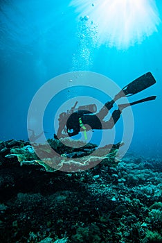 Scuba diving diver kapoposang sulawesi indonesia underwater