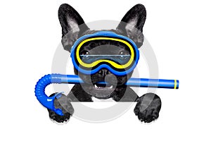 Scuba diving dog