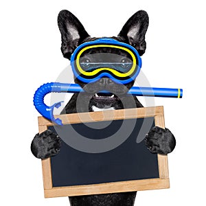 Scuba diving dog