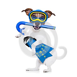 Scuba diving dog