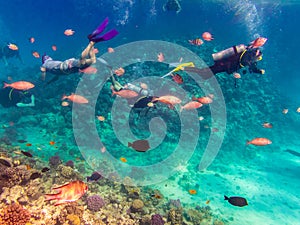 Scuba Diving explore the Red Sea photo