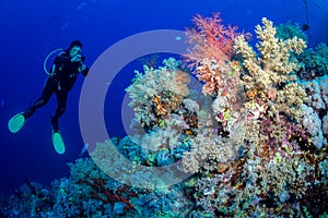Scuba diving and exploring the coral reefs in the southern Red Sea of Egypt photo