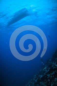 Scuba diving gone dive below boat bunaken sulawesi indonesia underwater