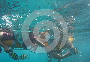 Scuba Diving in Port Blair