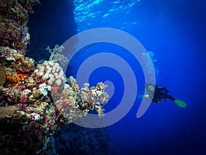 Scuba diving in the southern Red Sea, Egypt