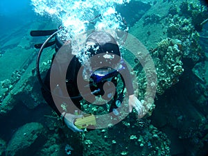 Scuba Diving on a sunken Wharf