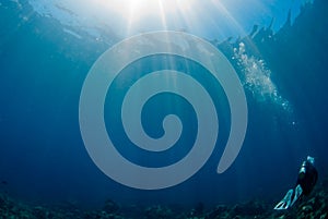 Scubadiver with bubbles